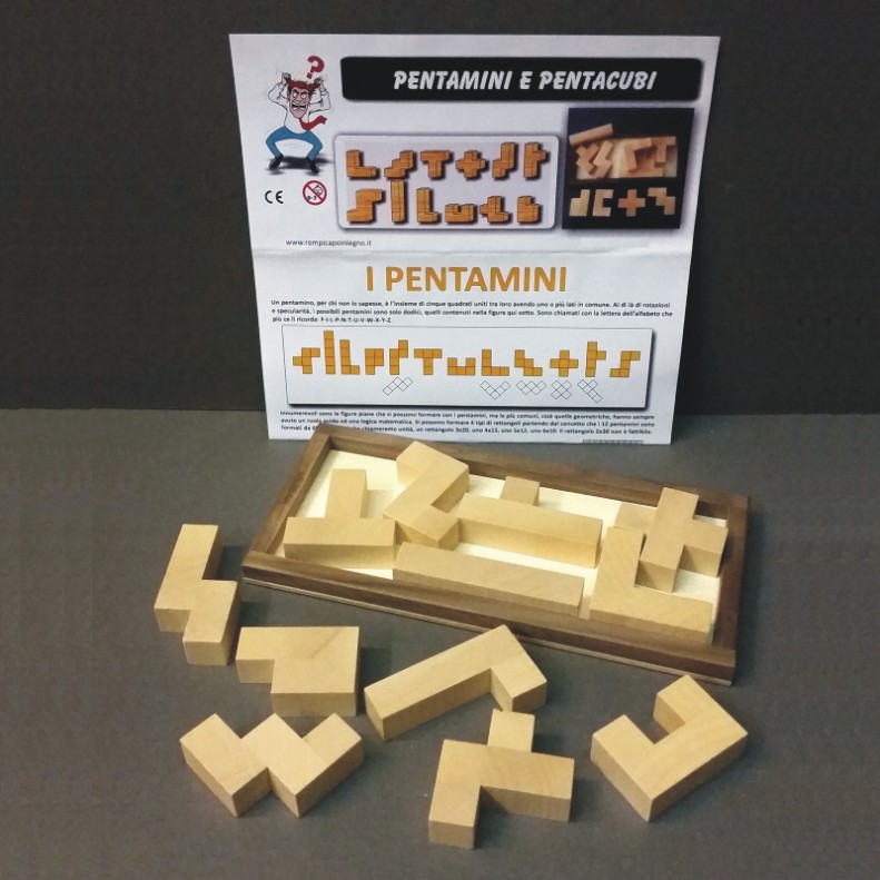 Pentamini e pentacubi didattici